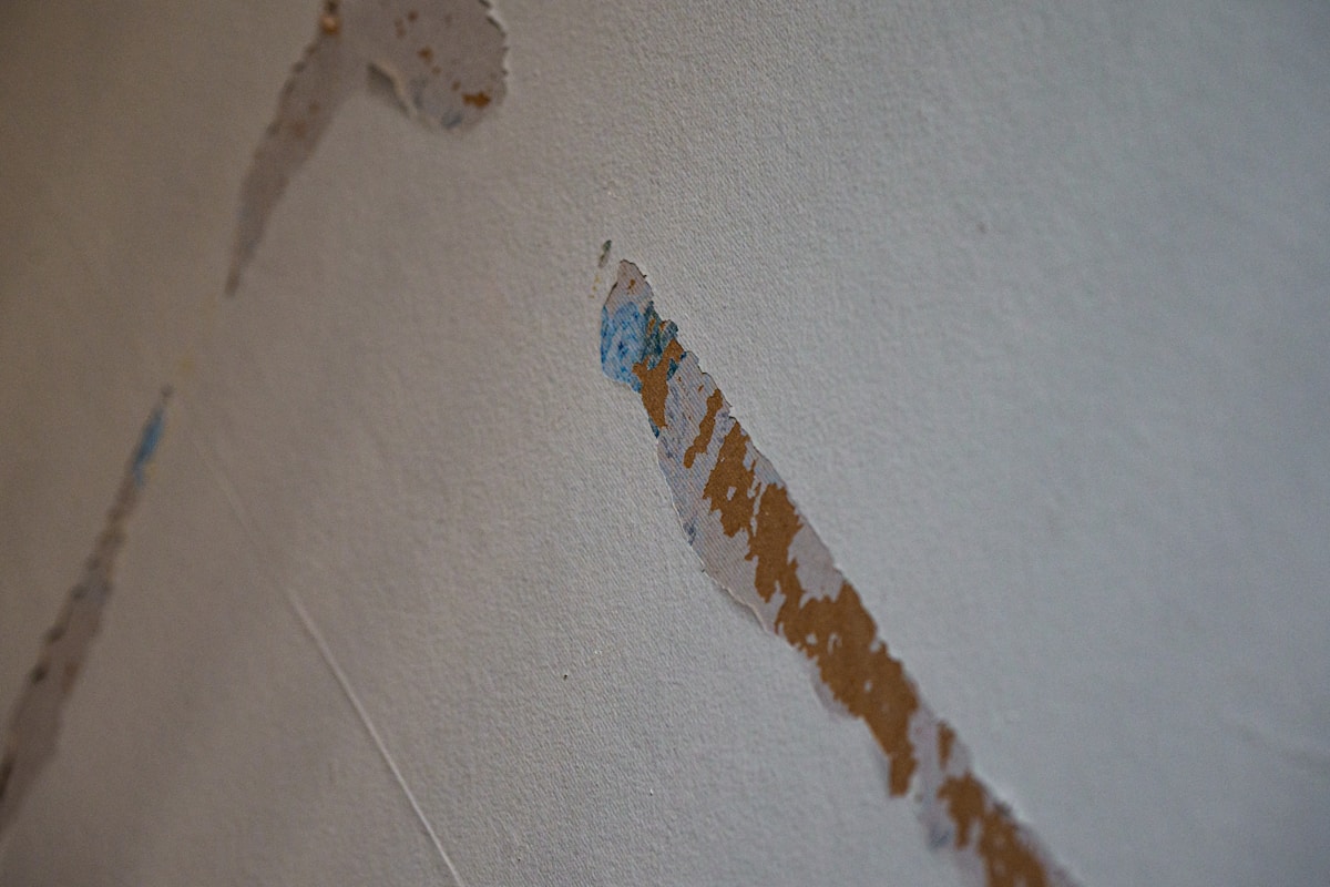 Structural Drying service in San Rafael, CA